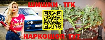 крисы Абакан