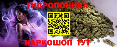 spice Абинск