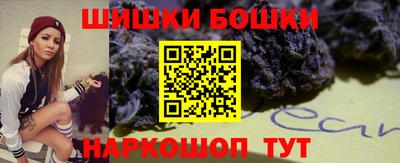крисы Абакан